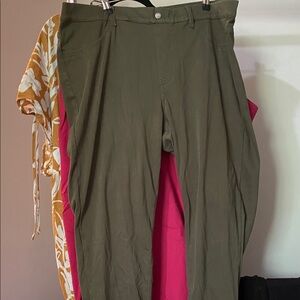 Size 24 jeggins type pants hunter green